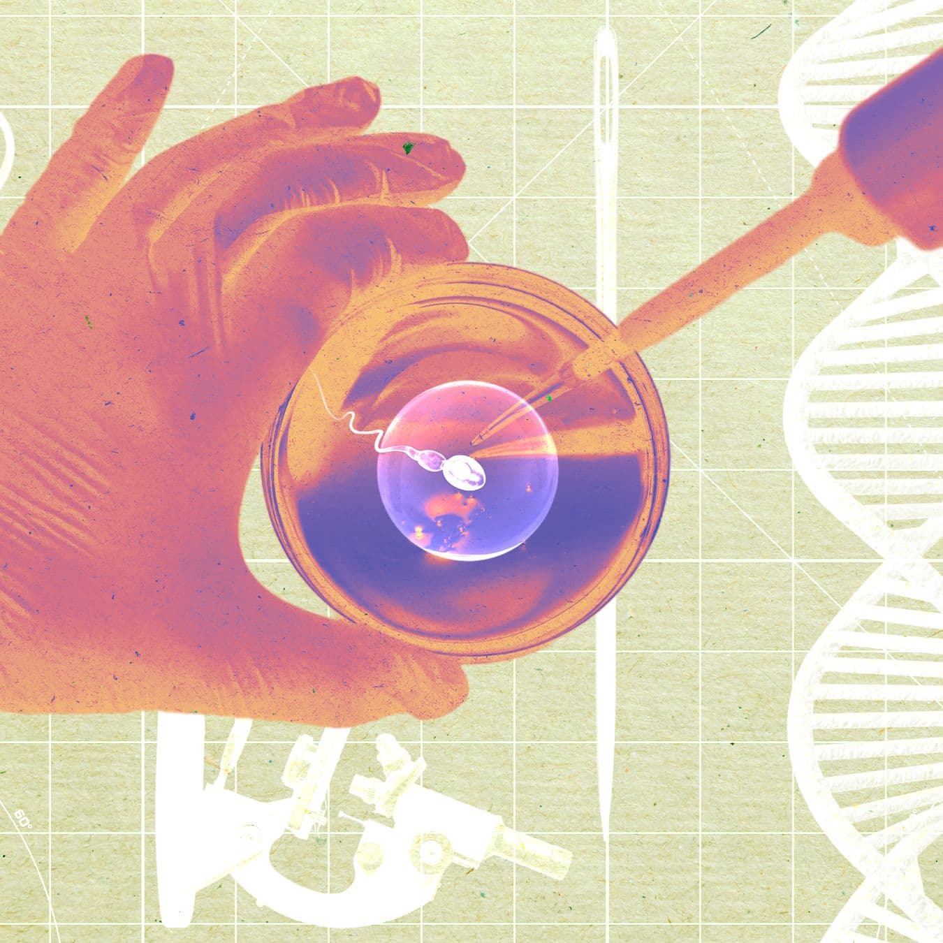 A Startup Says It Grew Human Sperm in a Lab—and Used It to Make Embryos