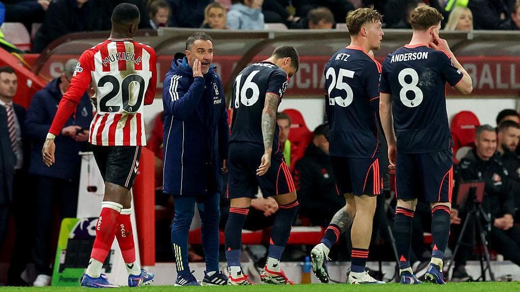 'So much to like and admire about rejuvenated Forest'