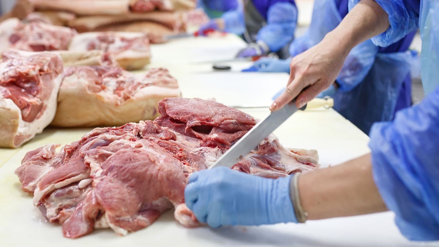 Vion sells two more German meat plants