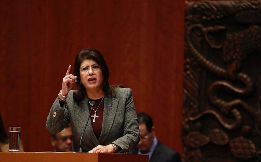 After a Mexico City suburb euthanized 11,000 street dogs, Sheinbaum demands a review