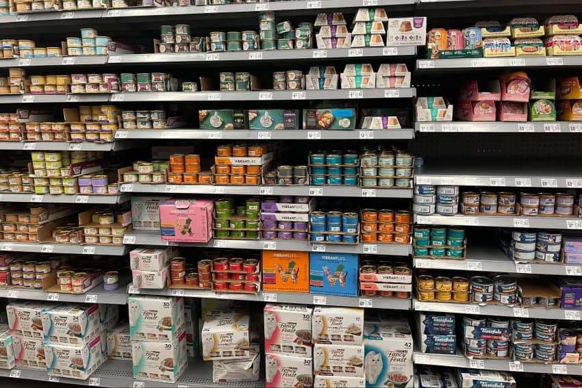 Coming home to Mexico