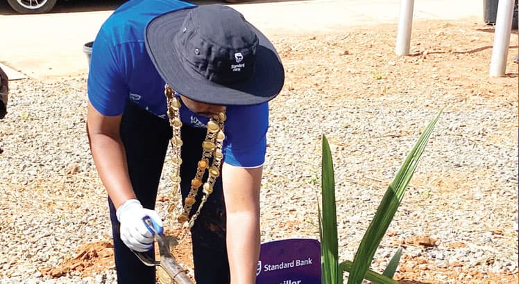 Standard Bank pledges K50m to replant trees in Lilongwe