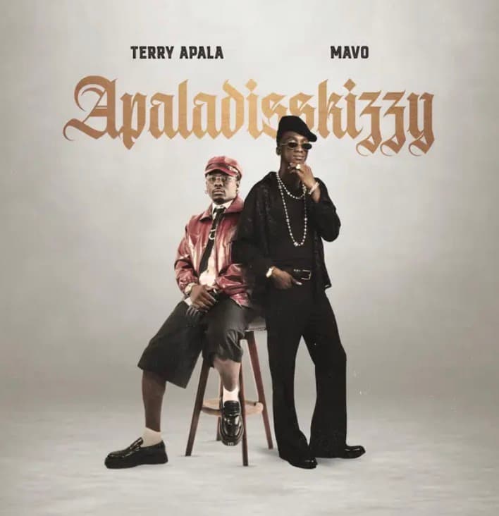 Apaladisskizzy Lyrics by Terry Apala & Mavo