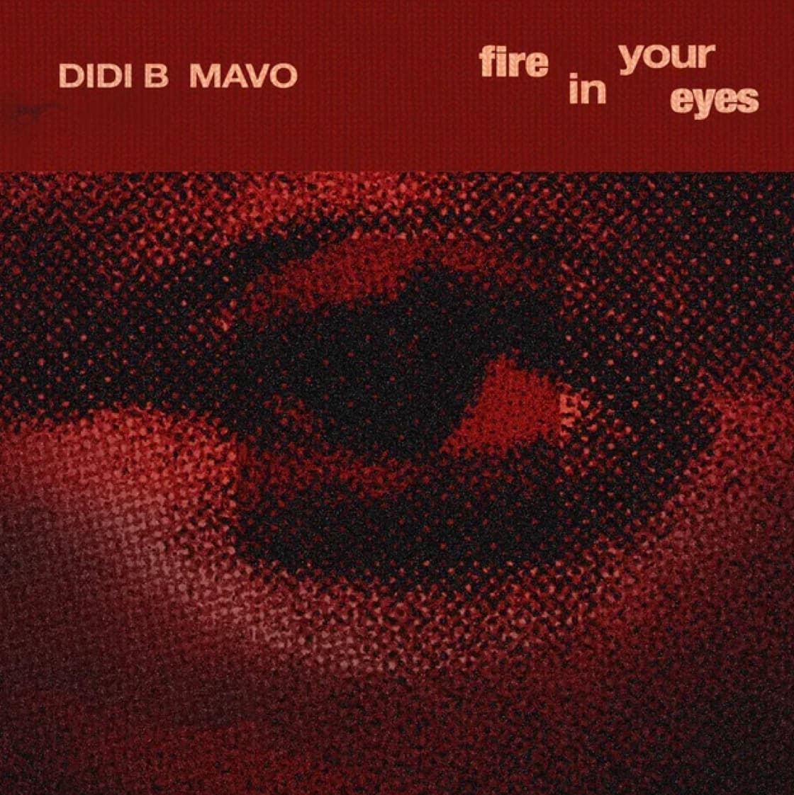 Fire In Your Eyes Lyrics by Didi B Feat. Mavo