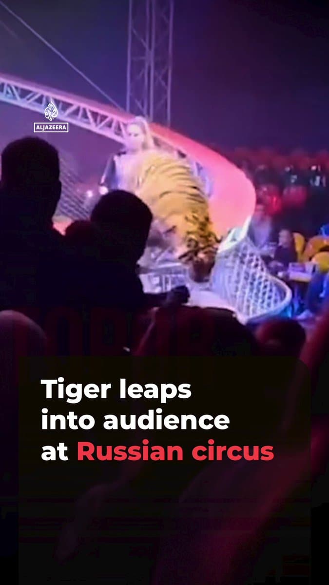 Video captured the moment a tiger leapt over a barrier at a circus in Russia. Trainers tried to regain control as it roamed the seating area. Russian media report that no injuries were recorded. pic.