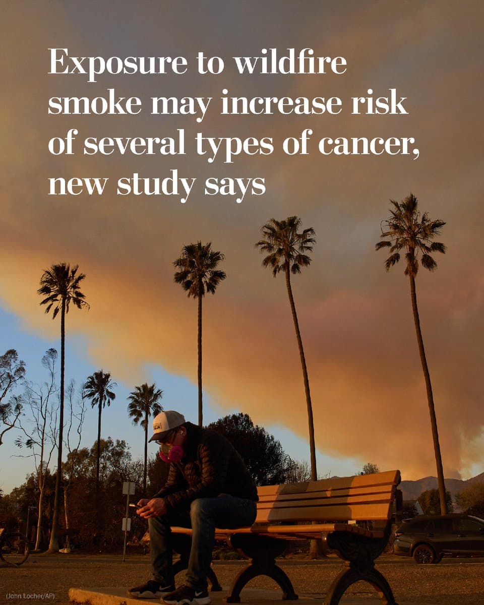 A new study, not yet peer-reviewed, found that people who were exposed to higher levels of wildfire smoke over the previous three years were at increased risk of lung, colorectal, breast, bladder and blood cancers. pic.