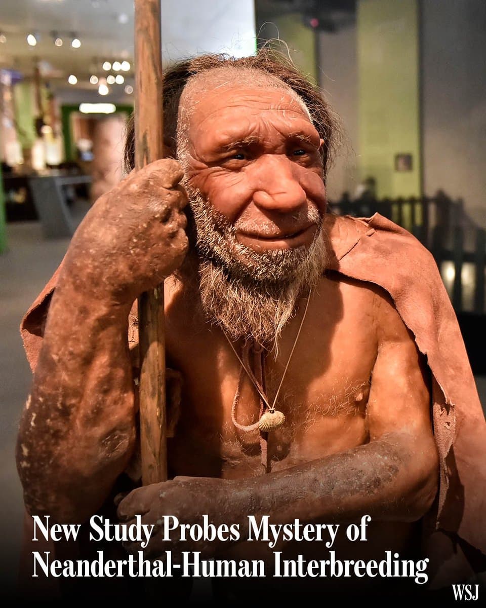 Sexual encounters between Neanderthals and ancient humans skewed in one direction—mostly between male Neanderthals and female humans pic.