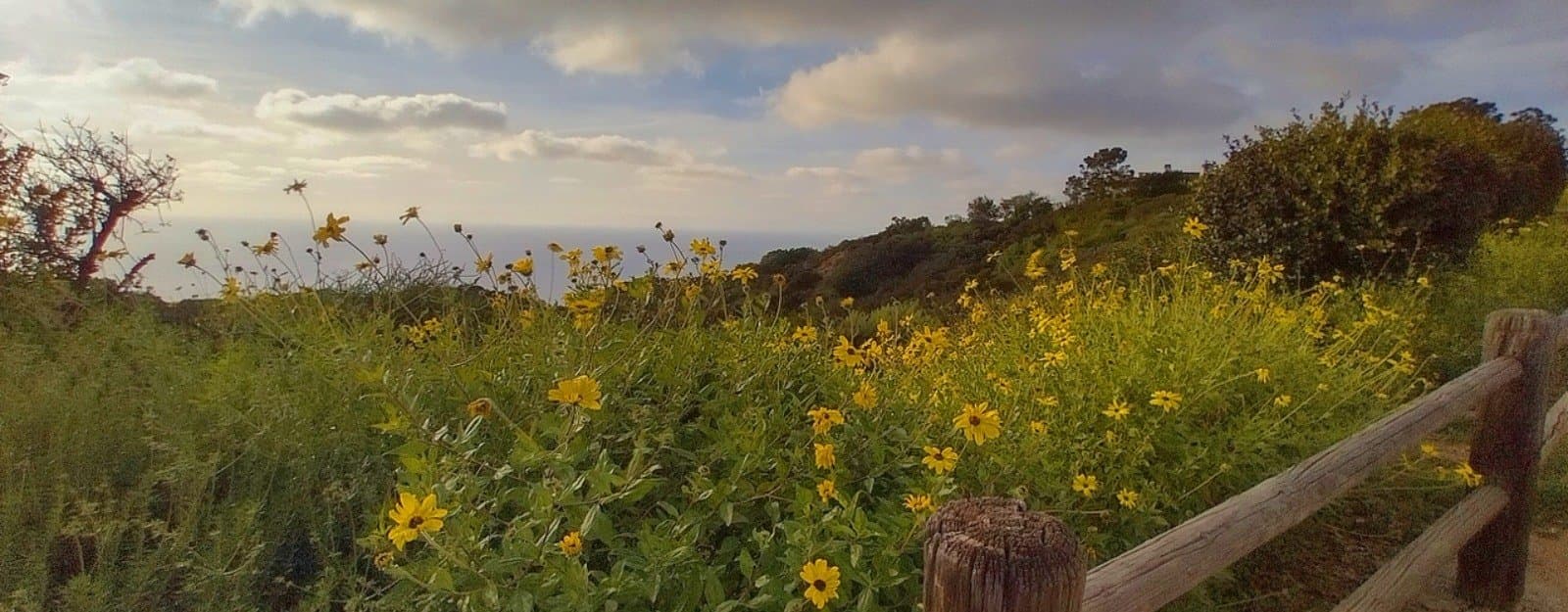 Inter-twined's 21-Day Life-Centered Design Thinking Challenge Launches Today