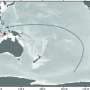 Nitrogen isotope analysis reveals Southern Hemisphere waters dominated Indonesian Throughflow for 800,000 years