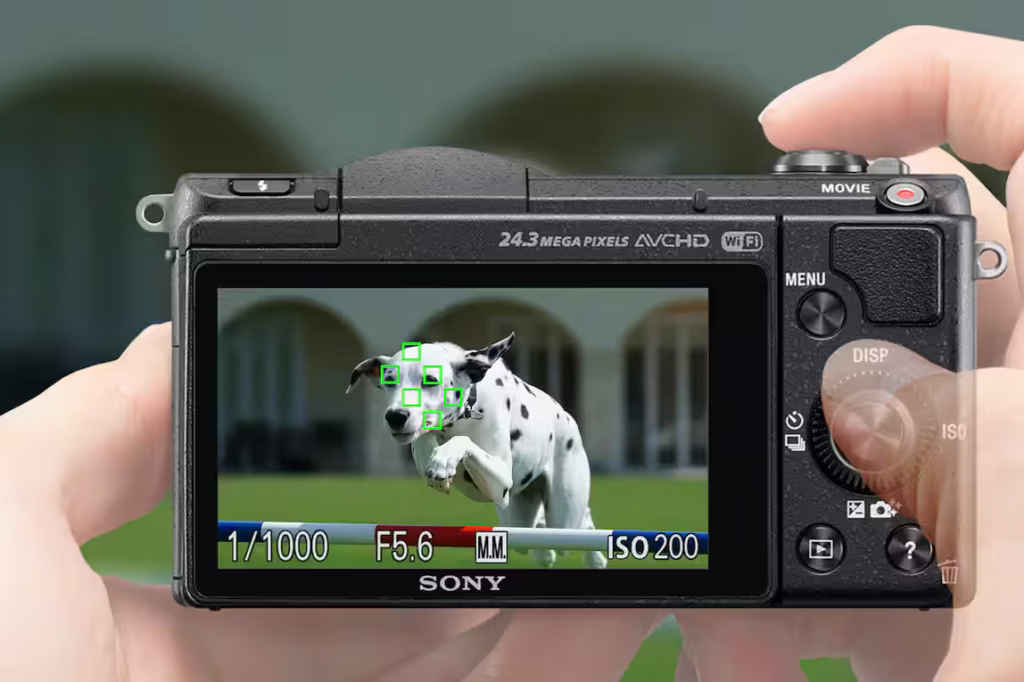 Mirrorless camera: 5 reasons why it still makes sense in 2026