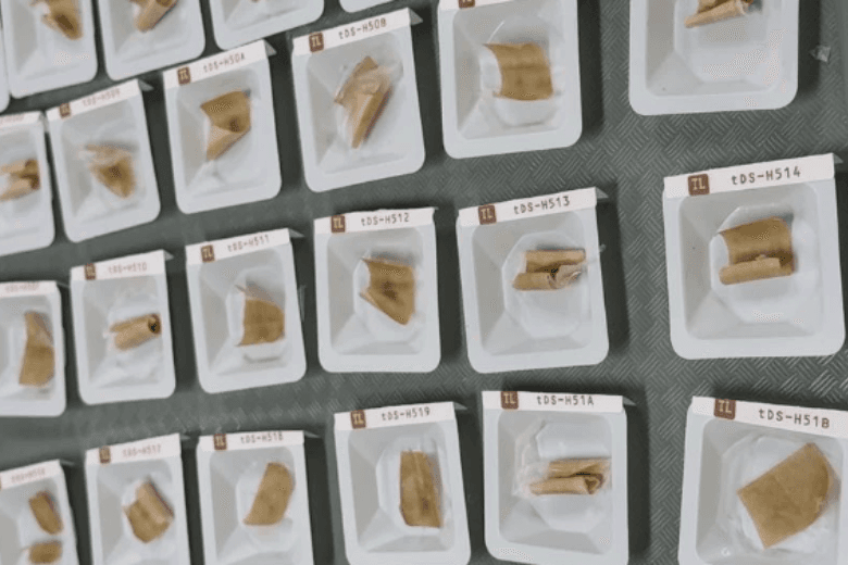 AI is helping these Terps create a biodegradable plastic cling wrap