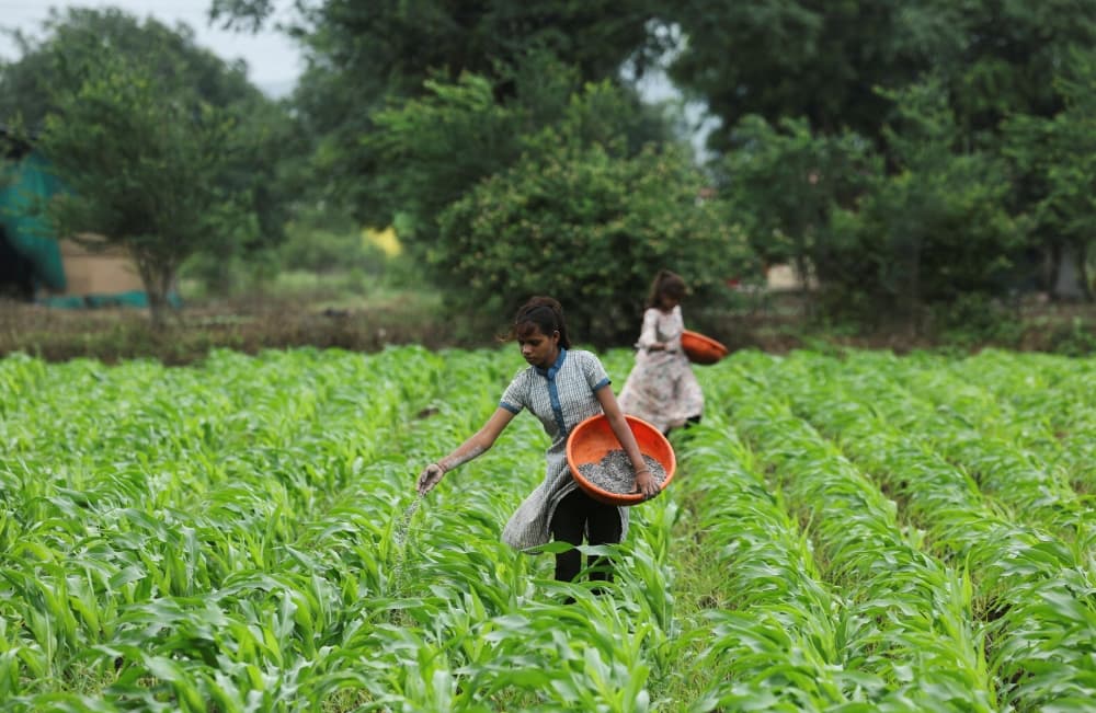 In India, El Nino threatens to bring higher food prices, rate hikes, and a tough election for Modi