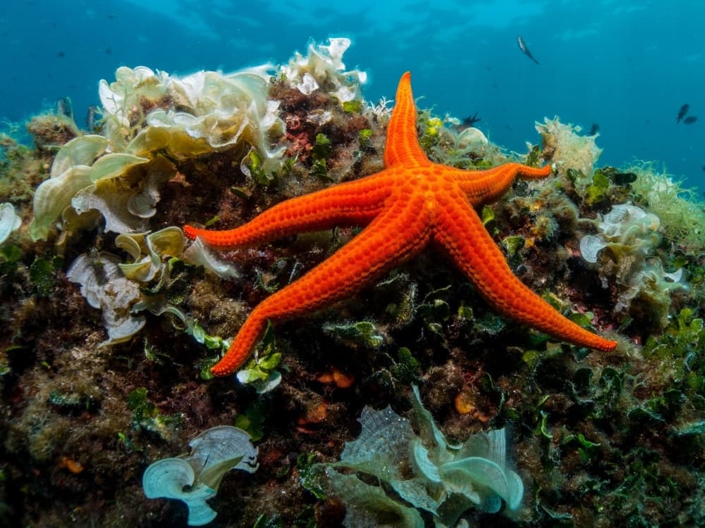 New RM186.4m marine research centre to steer Singapore’s coastal future