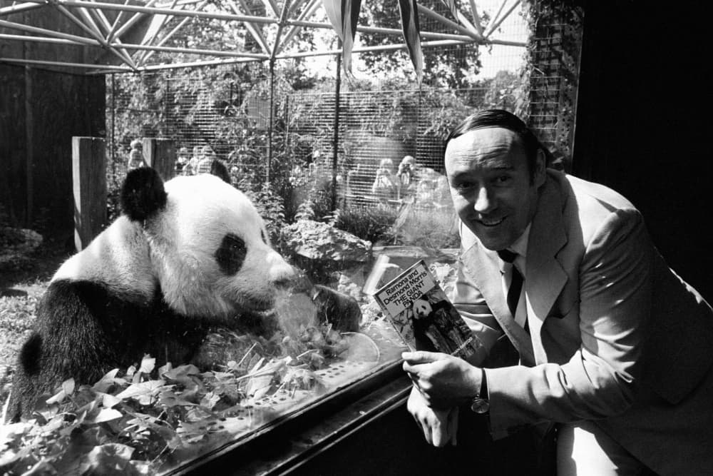 Desmond Morris, British zoologist and ‘Naked Ape’ author who put humans back among animals, dies aged 98