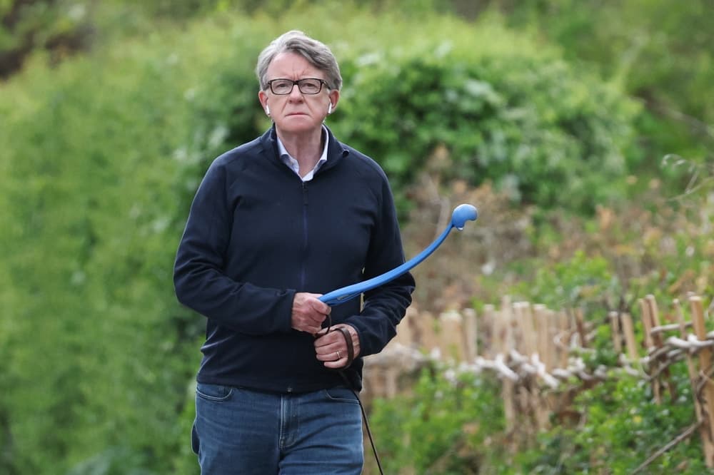 Sacked UK official says PM’s Office put ‘constant pressure’ to speed up Mandelson clearance