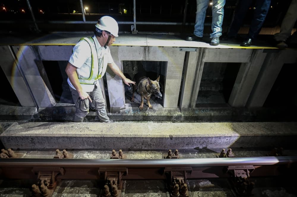 An unlikely (and adorable) ally joins the fight to prevent MRT cable thefts