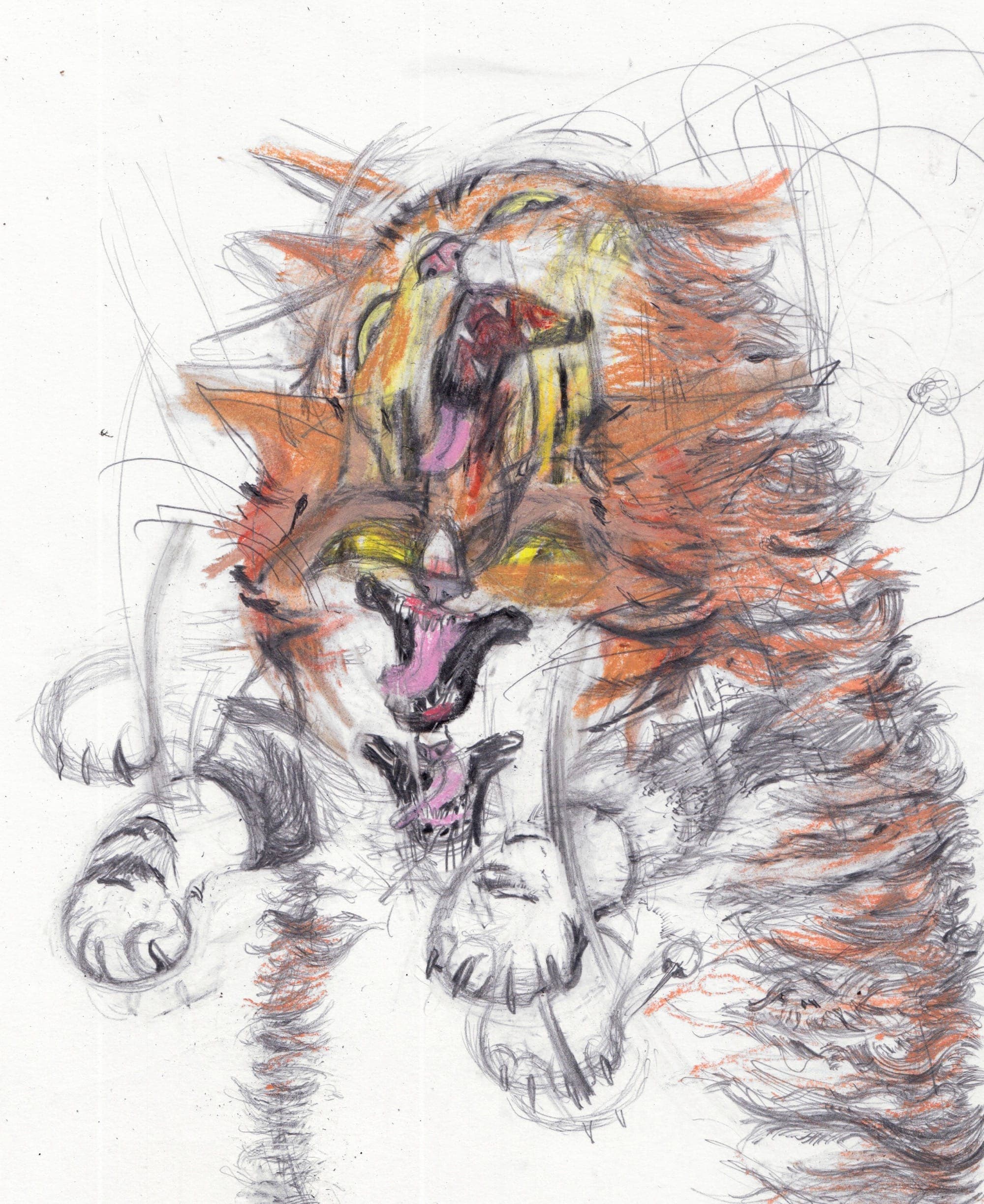 Anarchic Cats Are Ensnared in Chaos in Léo Forest’s Dynamic Drawings