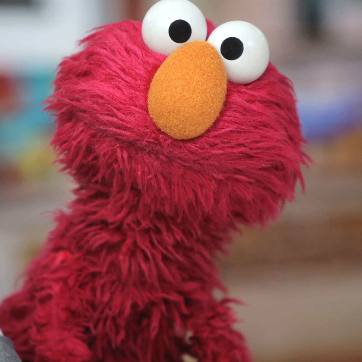 Elmo Sends Shockingly Sweet Message to Rocco for Earth Day