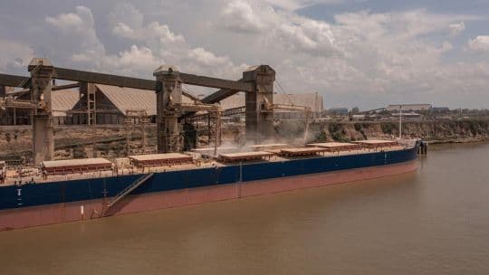 Argentina export deluge gives Milei chance to rebuild dollar reserves