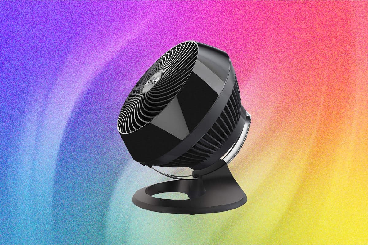 The 11 Best Fans to Buy Before It Gets Hot Again (2026)