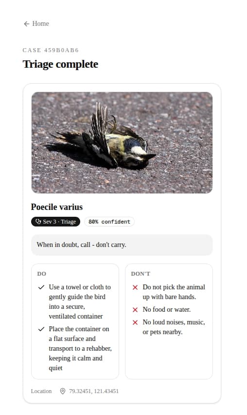 Terra Triage: I Built a 3-Agent Wildlife Dispatcher That Learns From Every Referral