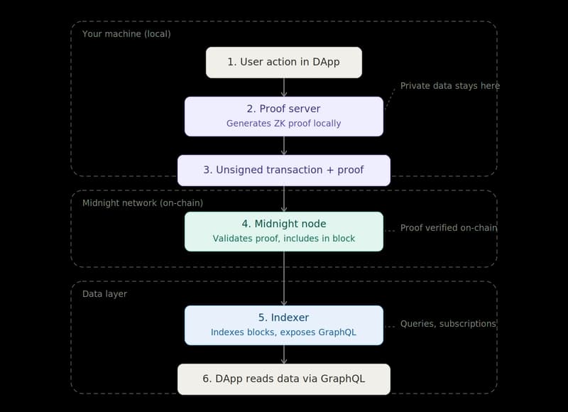 Proof server and Indexer: how Midnight processes transactions