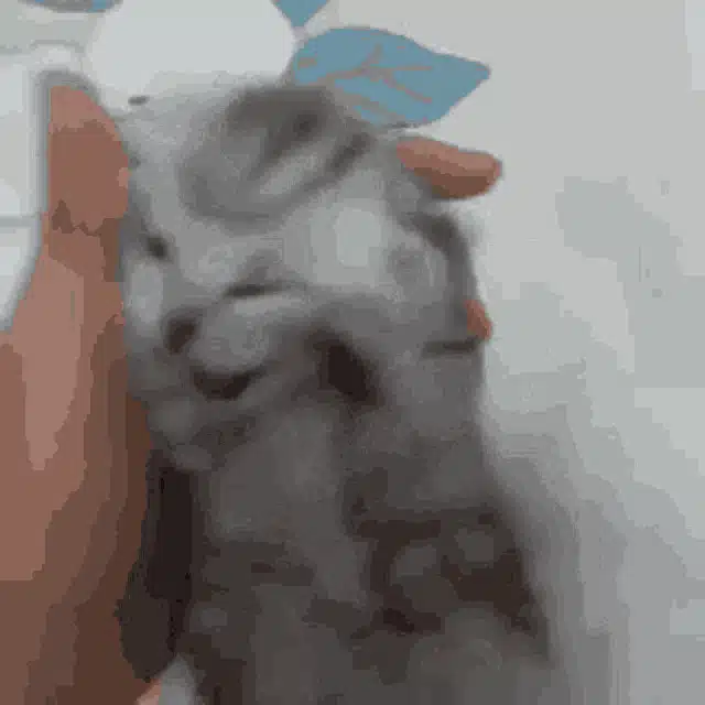 I Built a Personal AI Engineer Using OpenClaw That Actually Helps Me Ship Faster