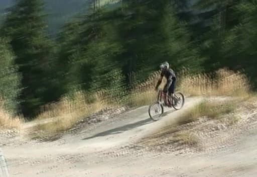 When Machines Learn to Feel Time