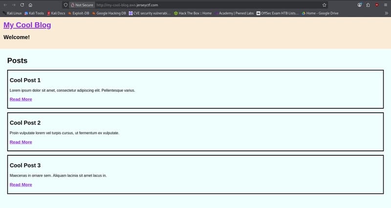 my-cool-blog - jerseyctf6