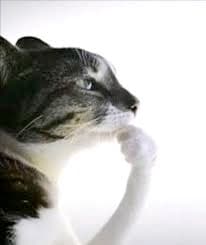 Building an (Actually) Serverless Private Terraform Registry on AWS