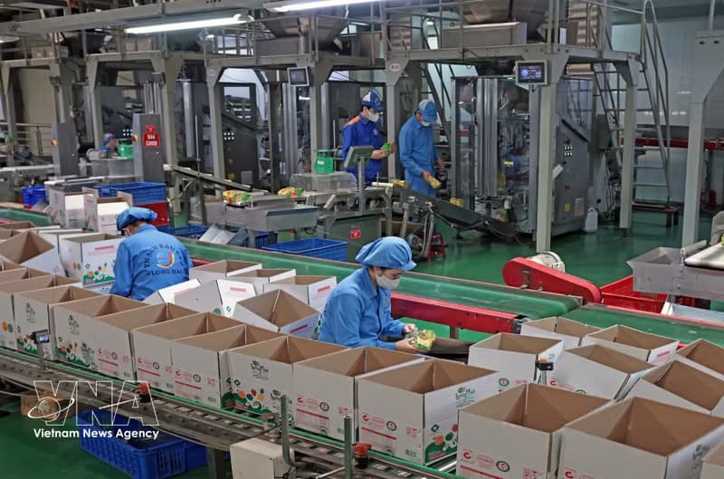 State – private synergy key to Vietnam’s growth ambitions