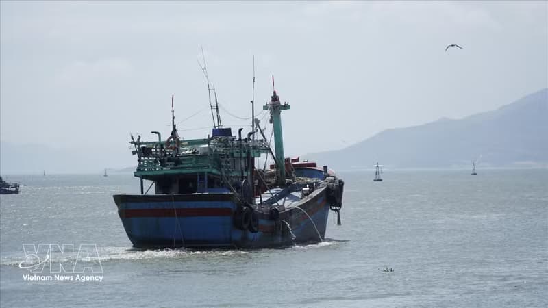 Quang Ninh targets full digital traceability of fishing vessels by Q2