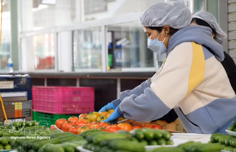 Vietnam’s fruit sector reaches new milestones