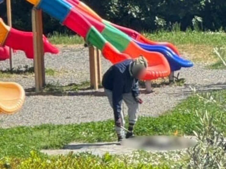 Migrant seen cooking cat on makeshift fire at children’s playground