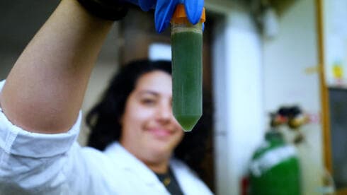 Israeli startup aims to cool the planet through agriculture