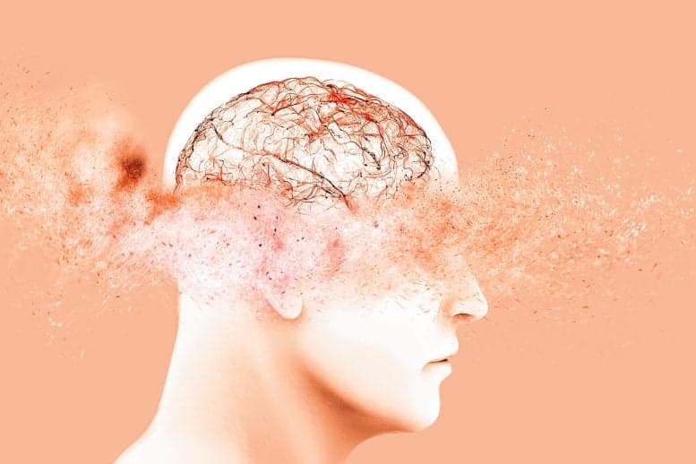 Not Just Alzheimer’s: Scientists Uncover Clues to a Second, Overlooked Disorder
