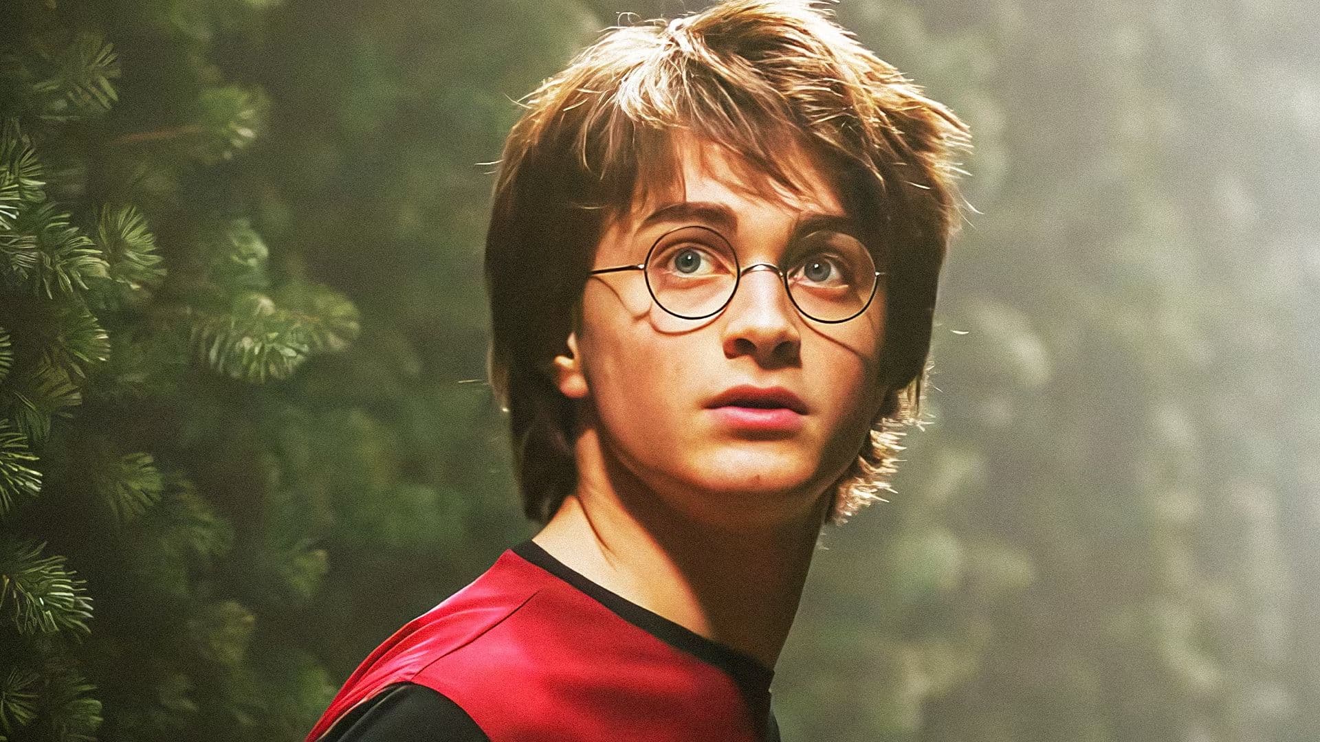 Daniel Radcliffe Ranks All 8 Harry Potter Movies With One Contentious Choice