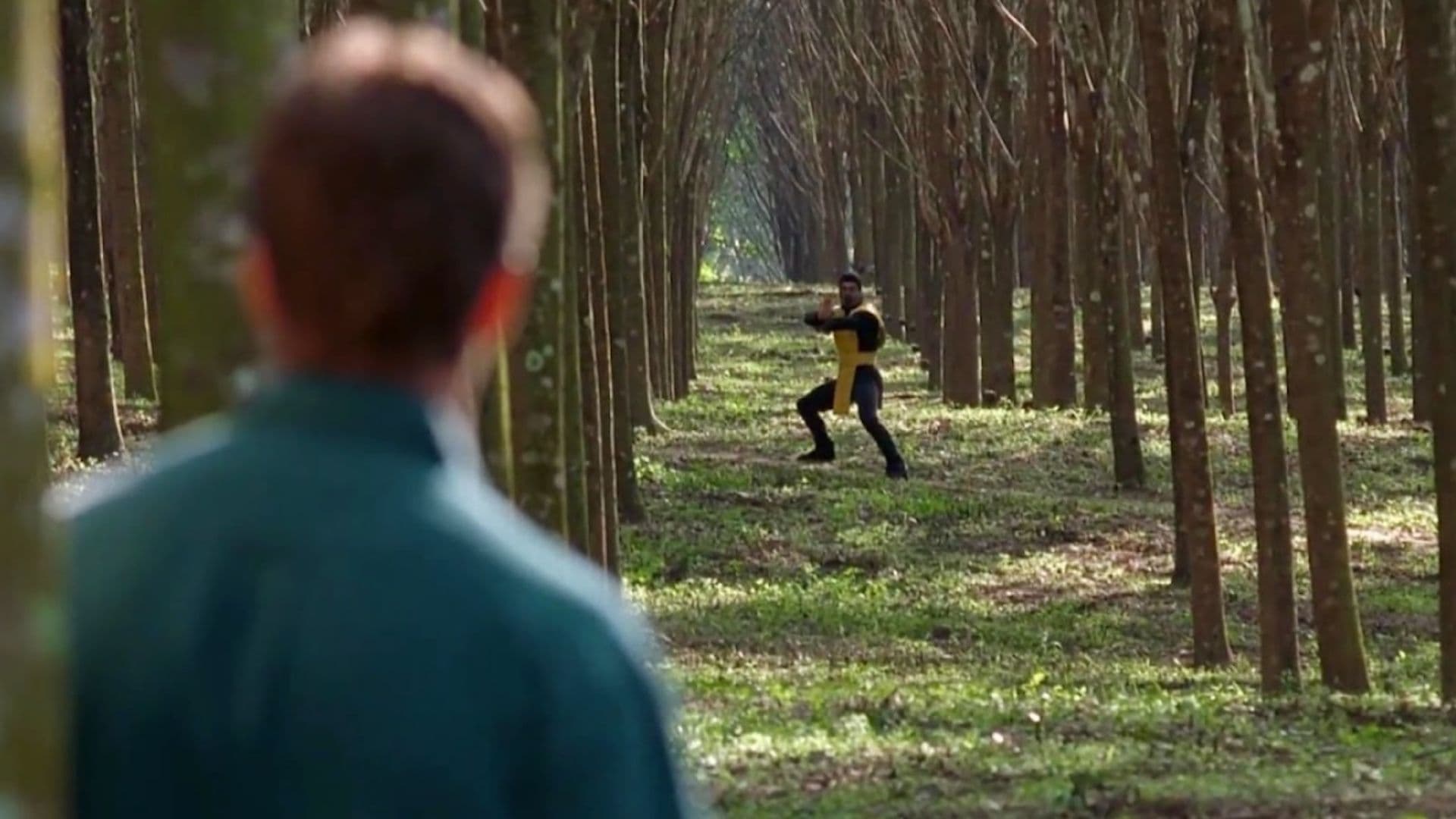 10 Martial Arts Movies For Street Fighter Fans