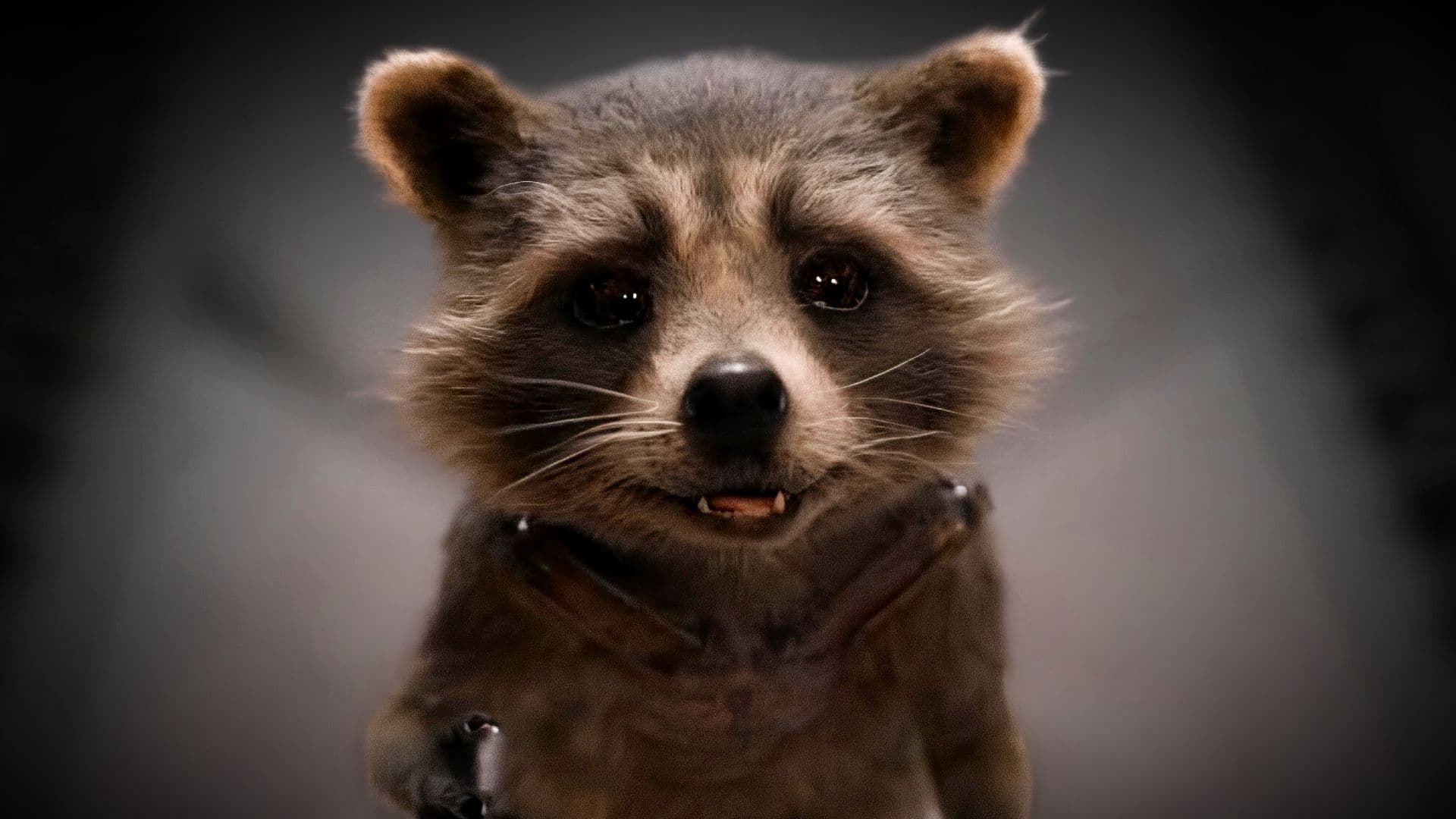 Rocket Raccoon Special Explores Life Before Guardians Of The Galaxy, Per Marvel