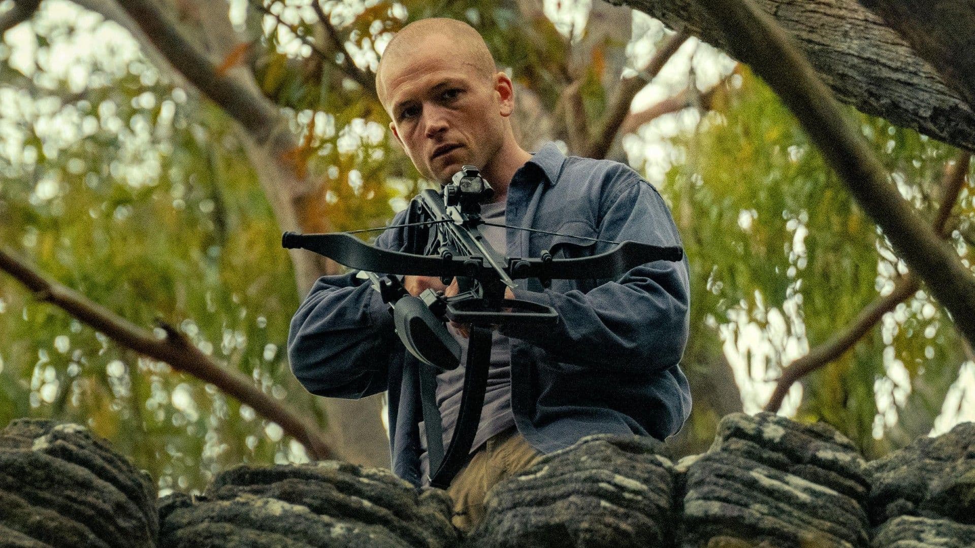 Apex Review: Taron Egerton Is The Horrifying Bright Spot In Netflix’s Mundane Survival Thriller