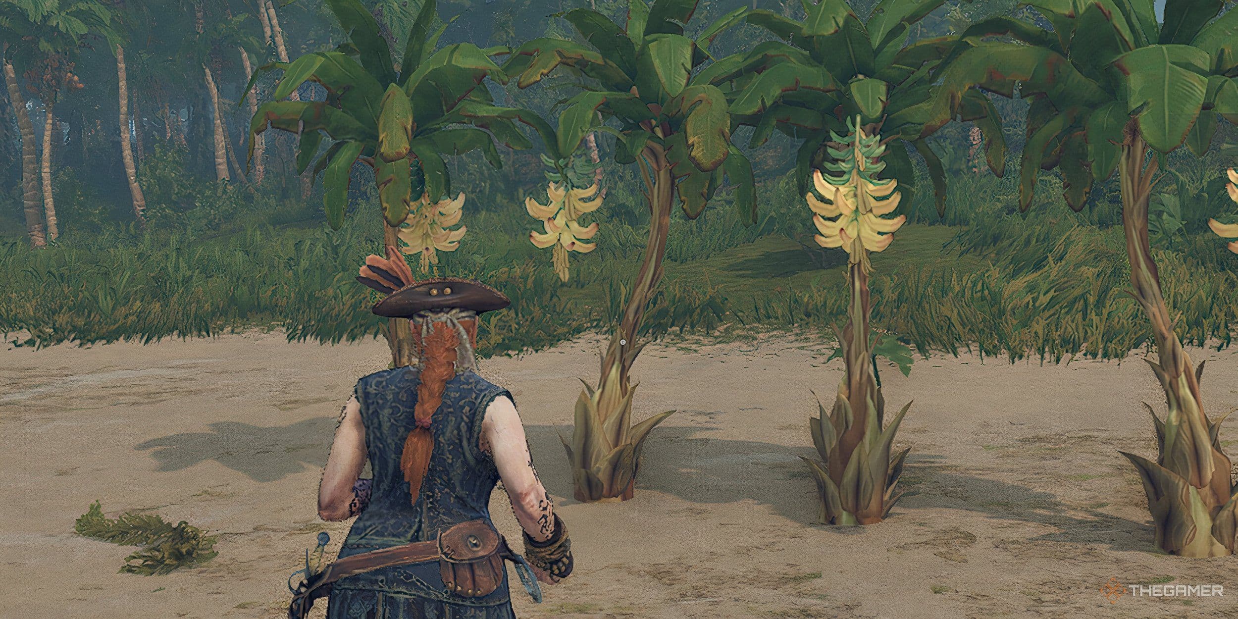 How To Grow Crops In Windrose