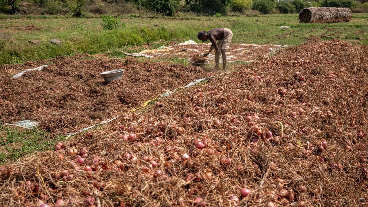 Tamil Nadu election 2026: Unmet expectations cast a shadow over Perambalur constituency