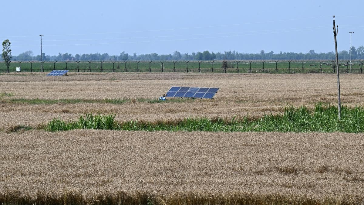 Punjab’s border farmers caught between fence and Zero Line