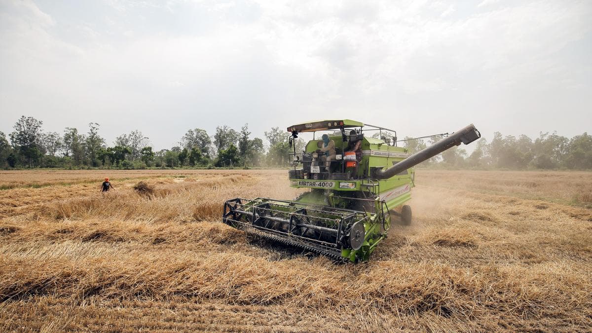 Punjab’s border farmers caught between fence and Zero Line