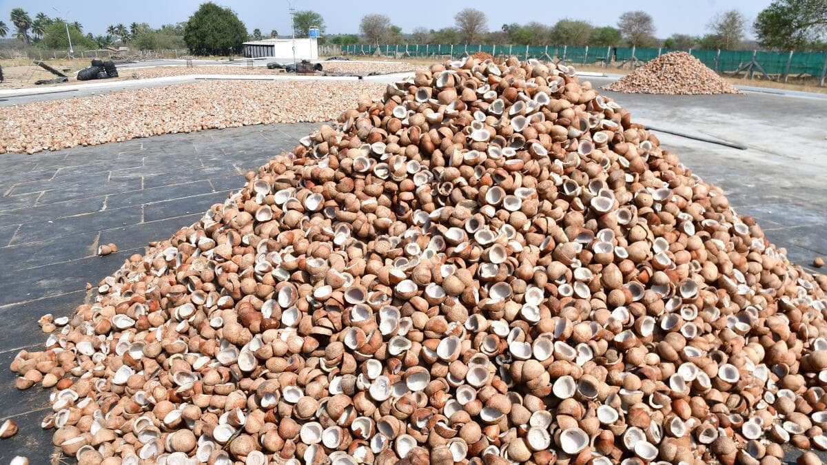 Tamil Nadu election 2026: Unresolved issues galore in Kangayam constituency