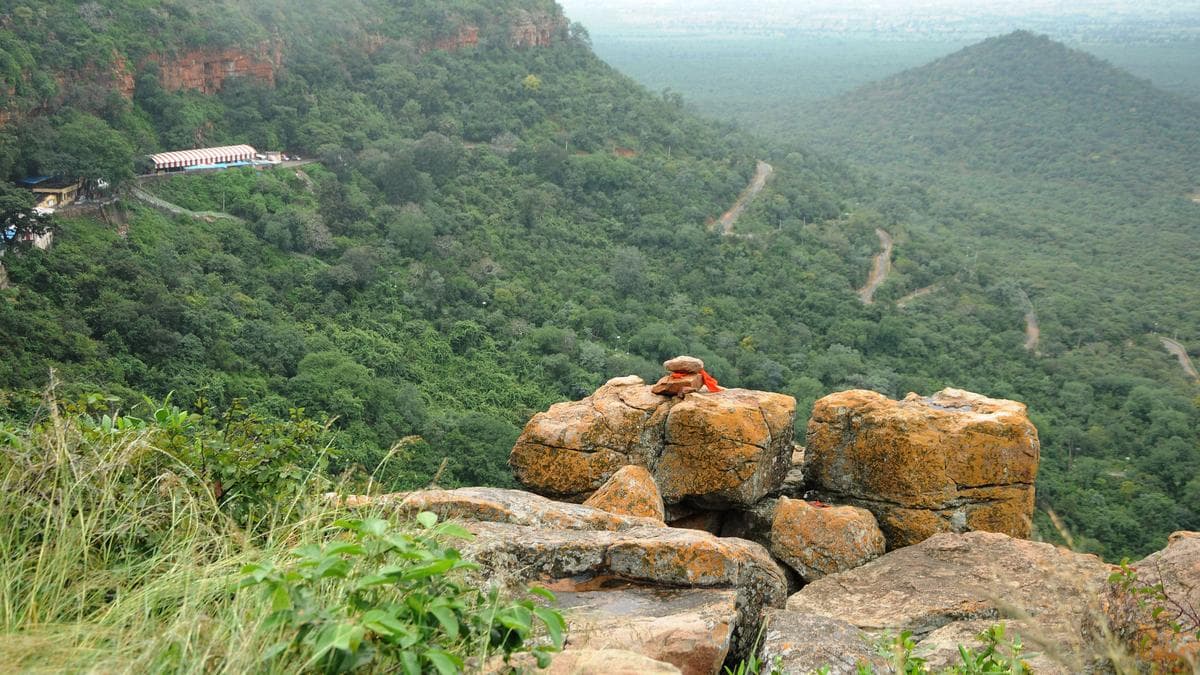 Relocation fear returns to haunt Amrabad’s particularly vulnerable Chenchu tribe