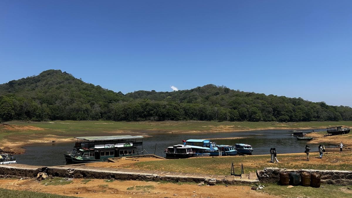 Tourism takes a hit as water level of Thekkady lake dips
