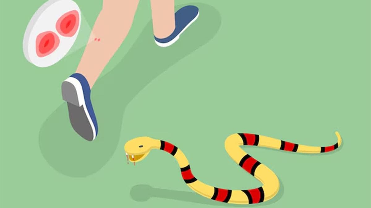 Eight-year-old dies after snakebite while asleep at home in Kerala’s Thrissur; brother critical