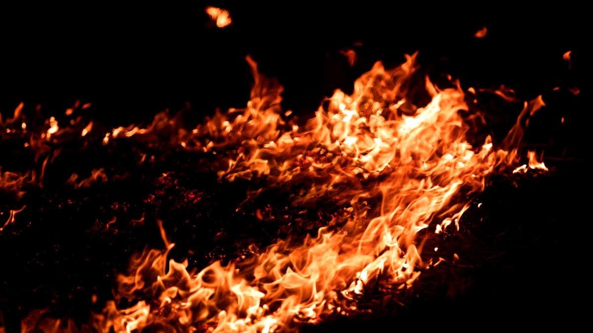 Woman sets male friend ablaze in Bengaluru, arrested
