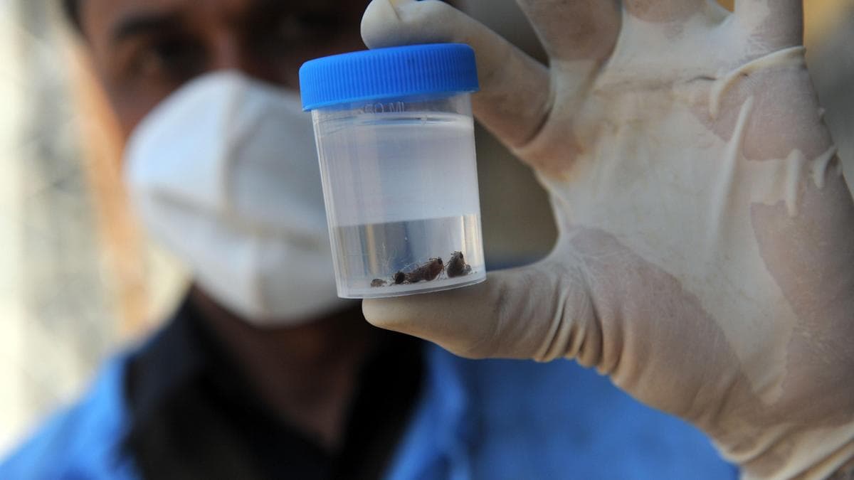 Teenager becomes first Congo virus fatality in Pakistan's Karachi